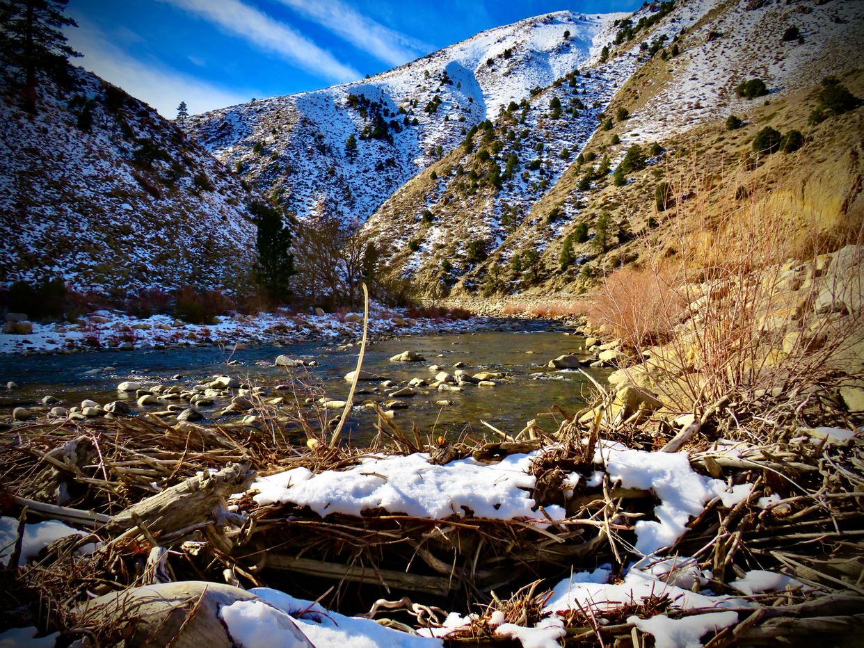West Walker River - Photo by ajcampbell_photography