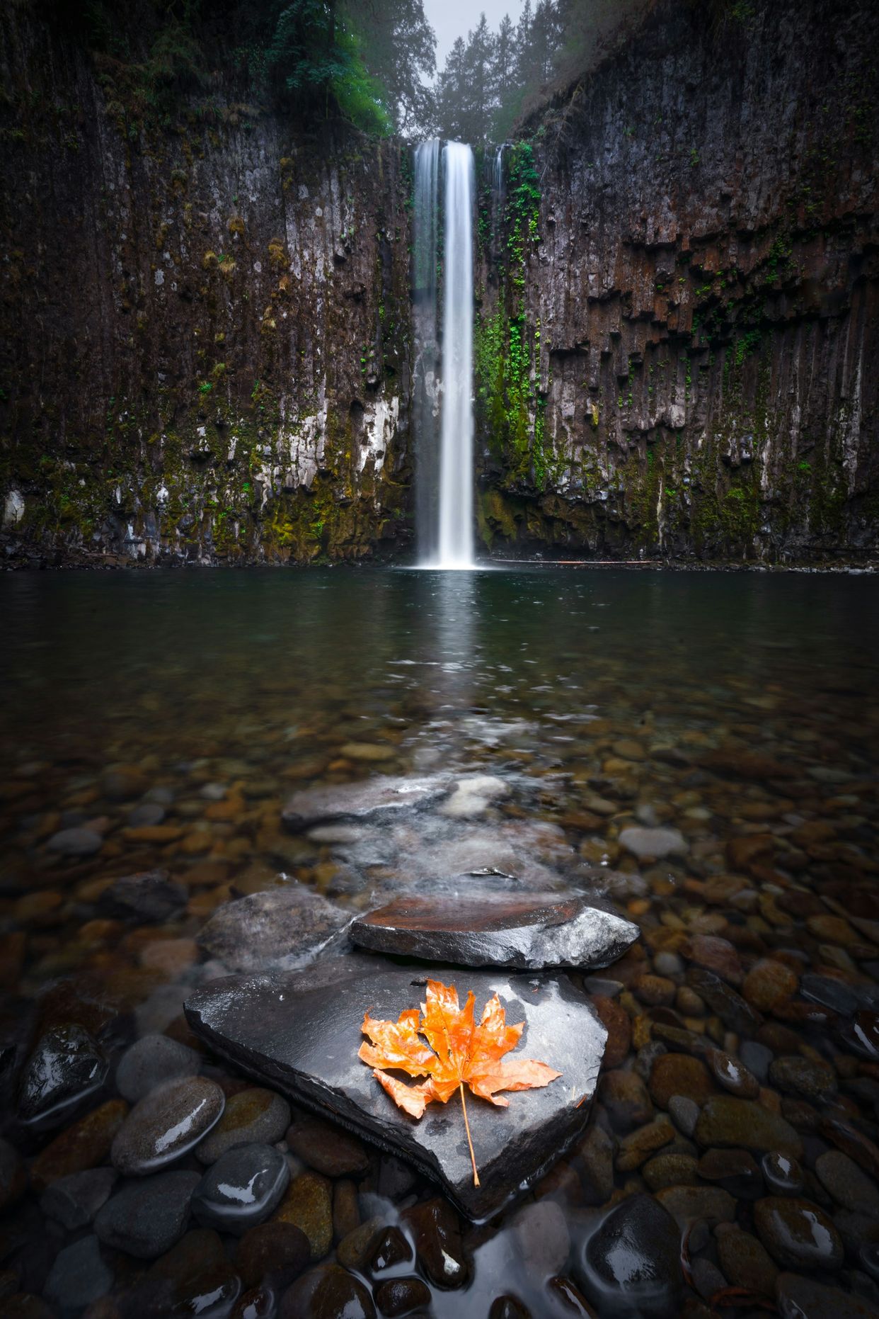 Abiqua Falls 