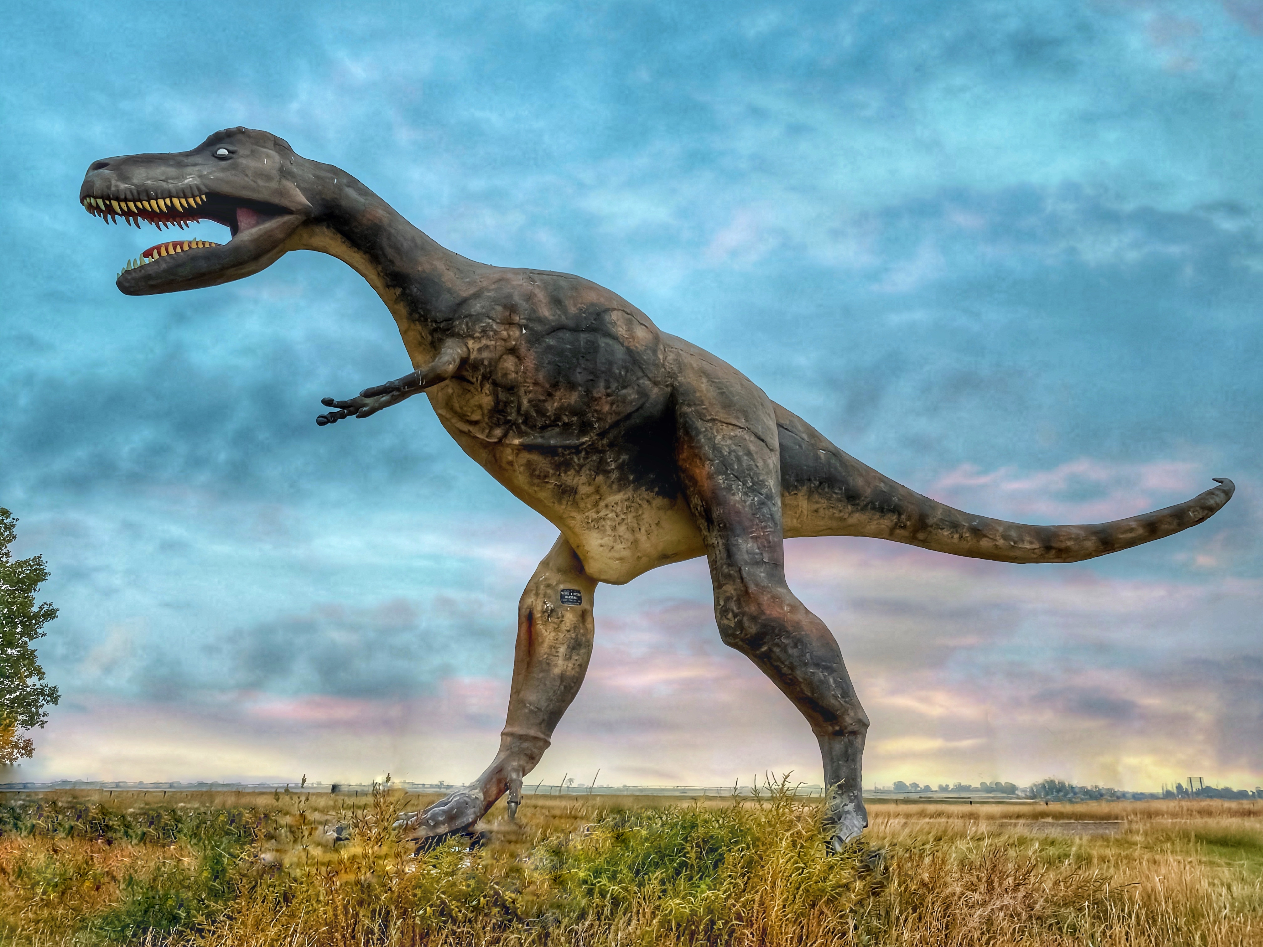 Lone Abandoned Dinosaur — Photo by scott goldsworthy