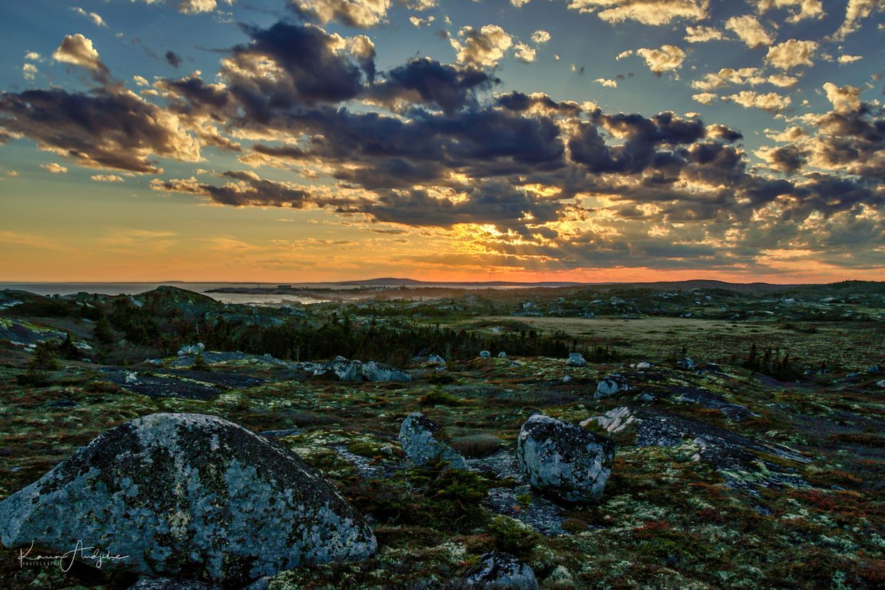 Polly Cove Hiking Trail