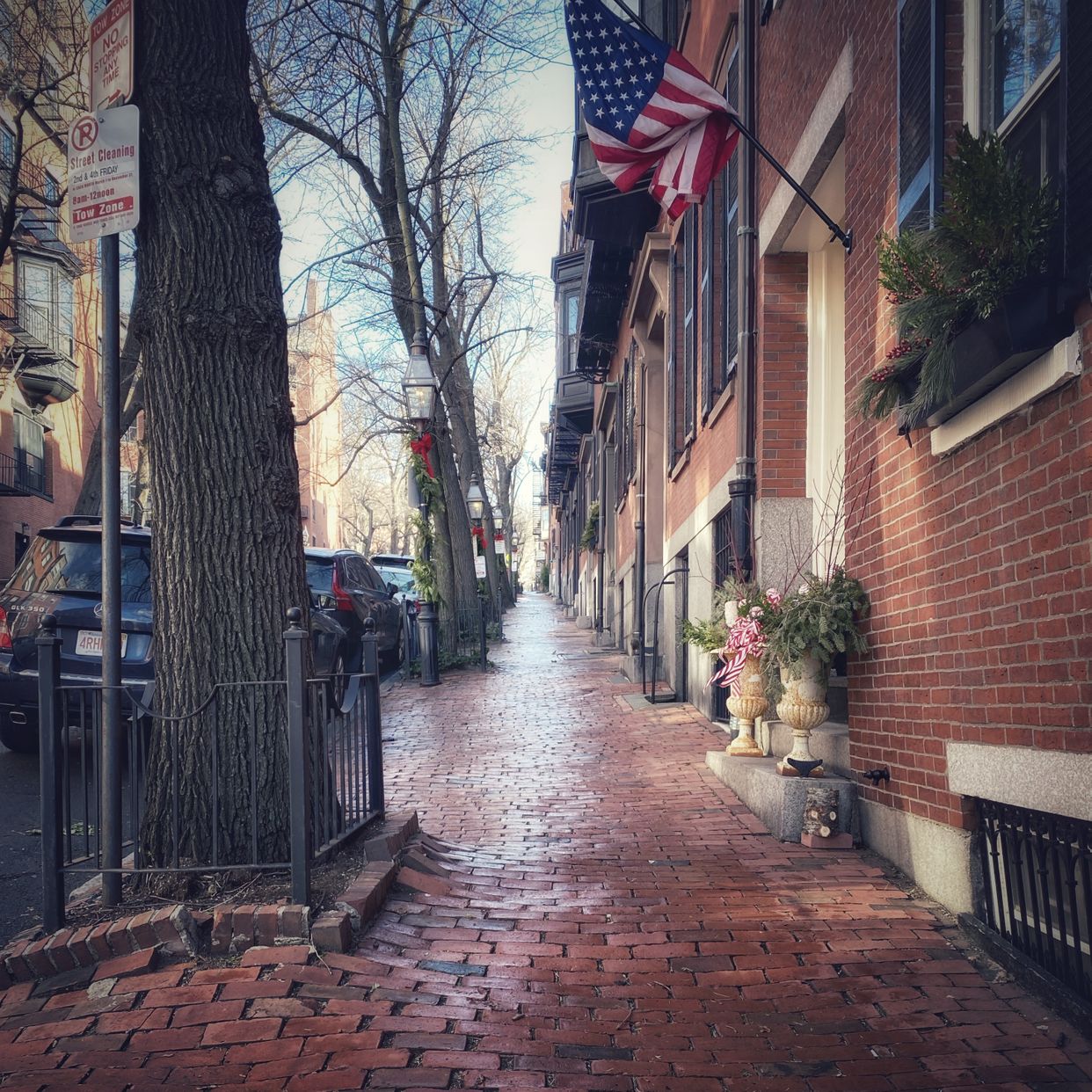 Cedar St View
