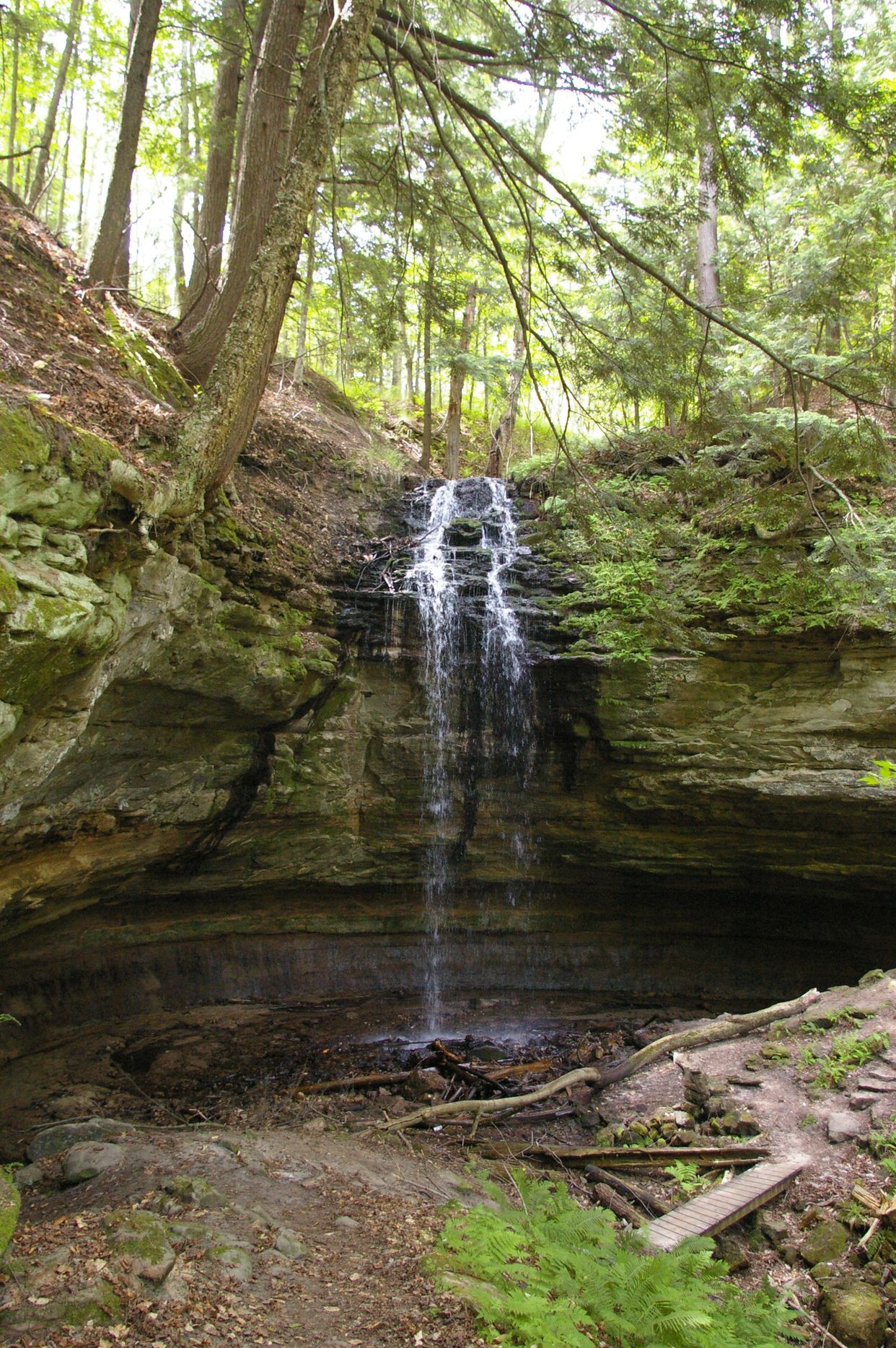 Tannery Falls 