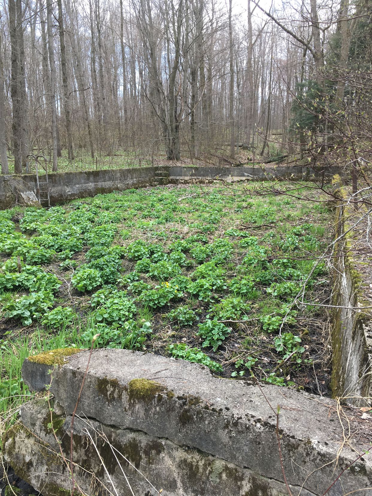 Crown Land Trail