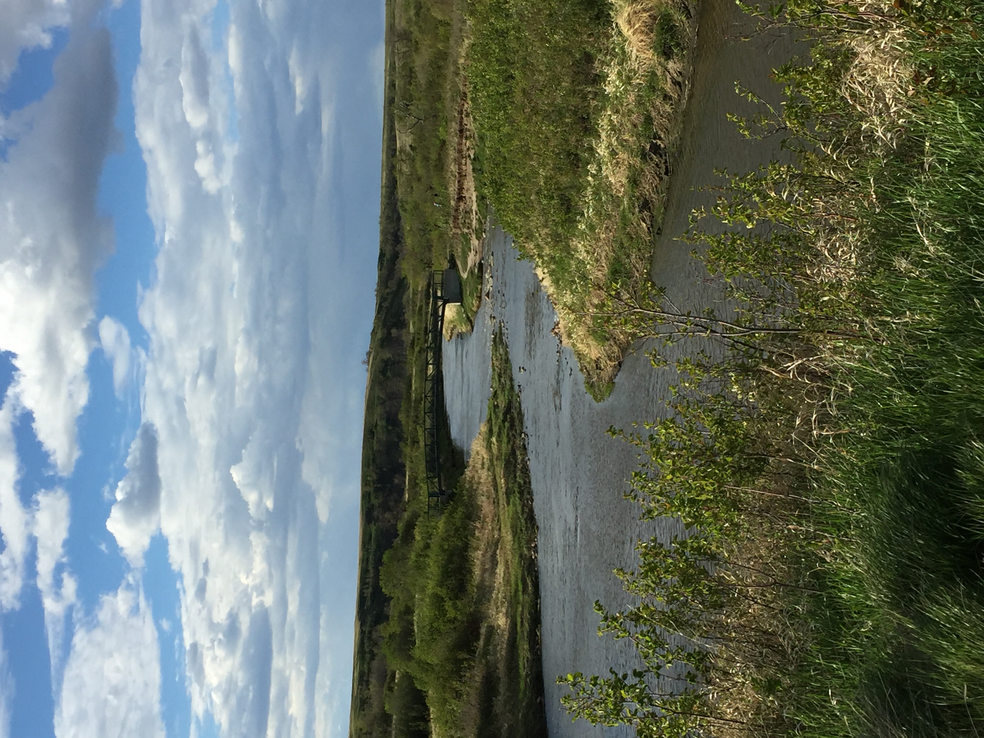 Wascana Trails — Photo by Cyndi