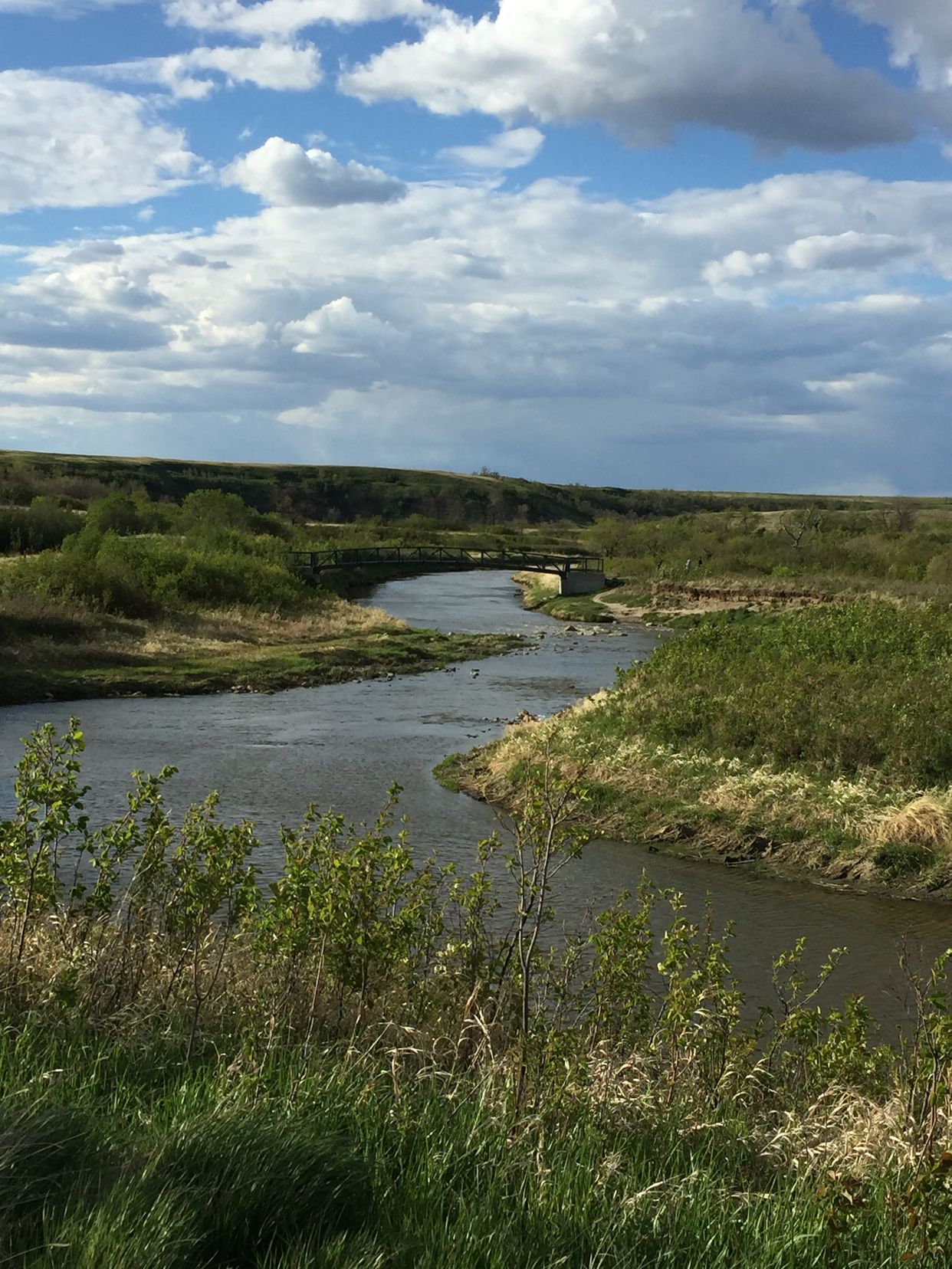Wascana Trails
