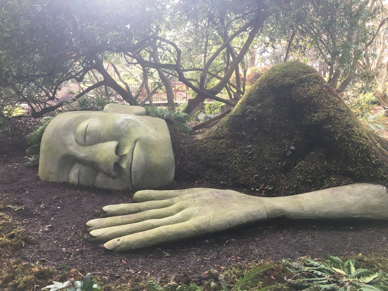 Beacon Hill Park