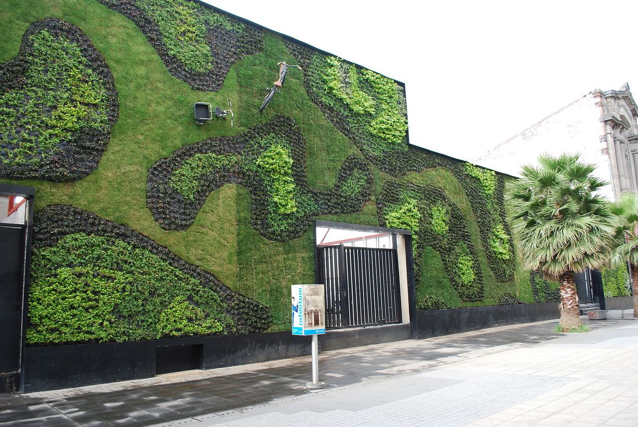 Muro Verde Regina