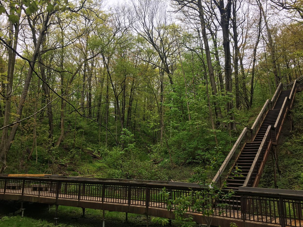 Glen Stewart Park