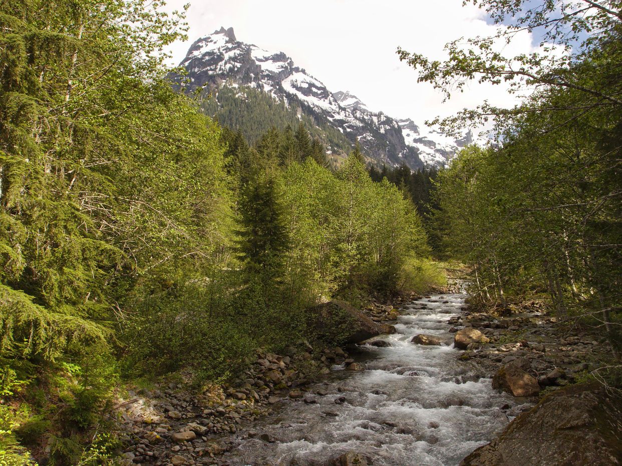 South Fork Sauk River 