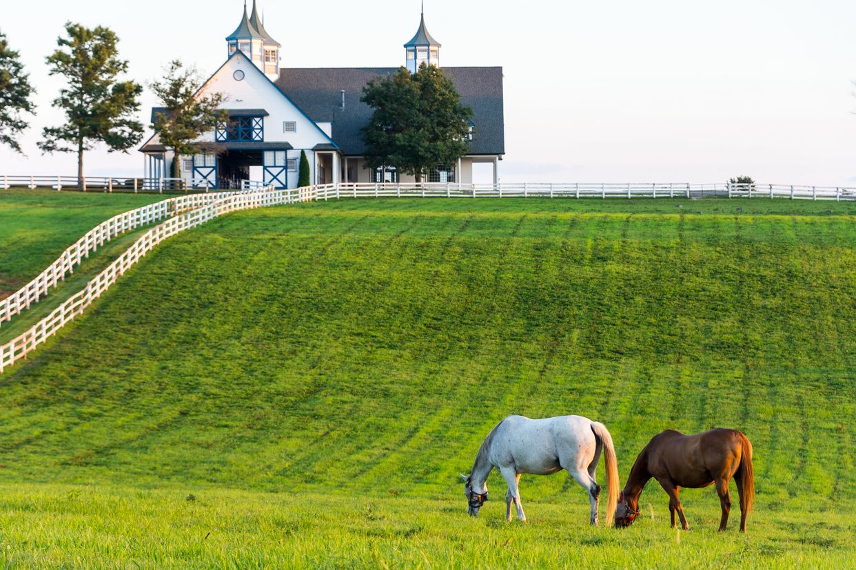 Manchester Farm