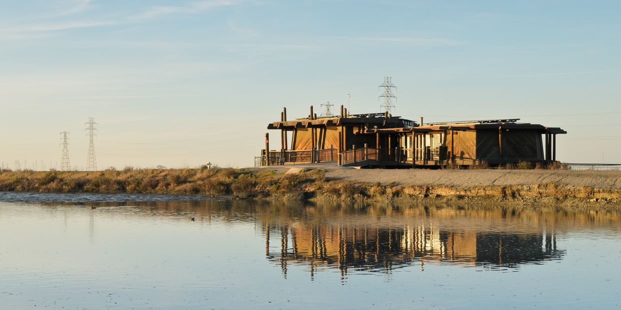 Palo Alto Baylands