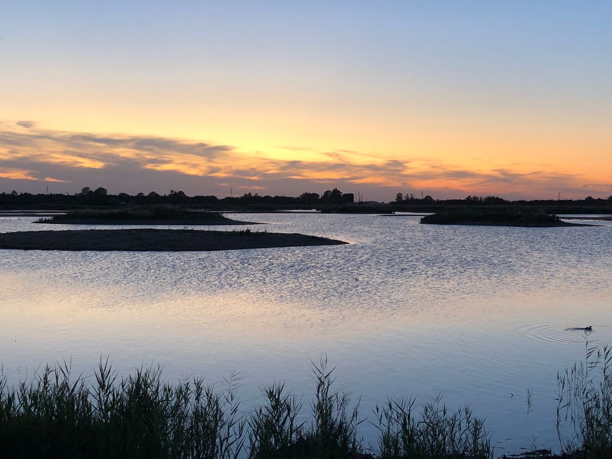 Frampton Marsh