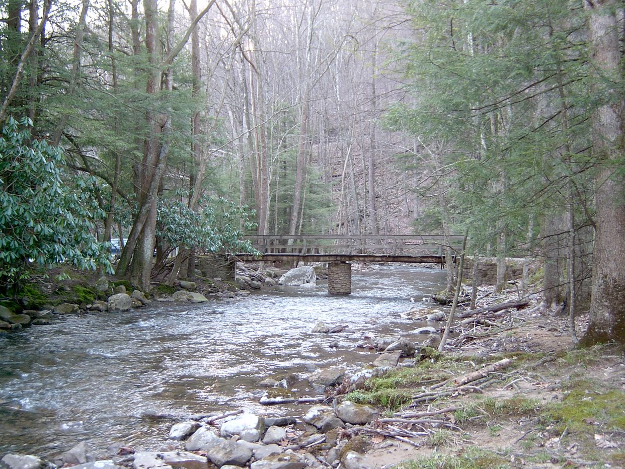 Holly River State Park