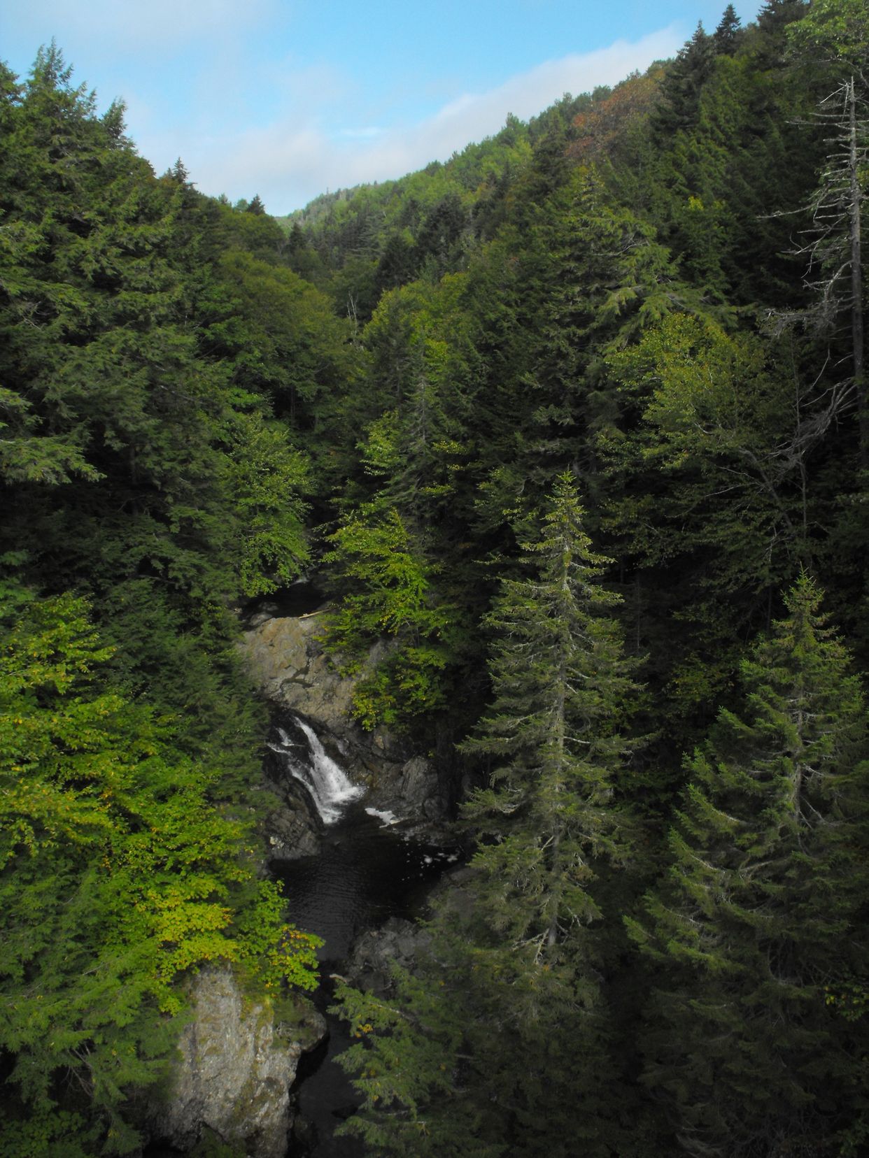 Great Village River Waterfall