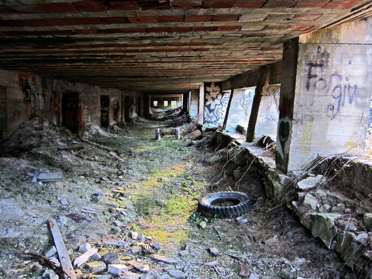Interior M. J. Grove Lime Plant Ruins