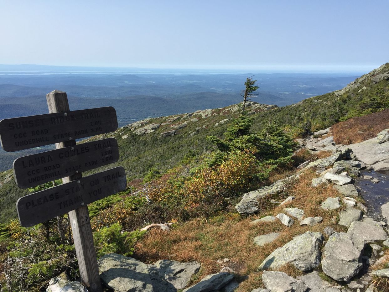 Laura Cowles Trail View