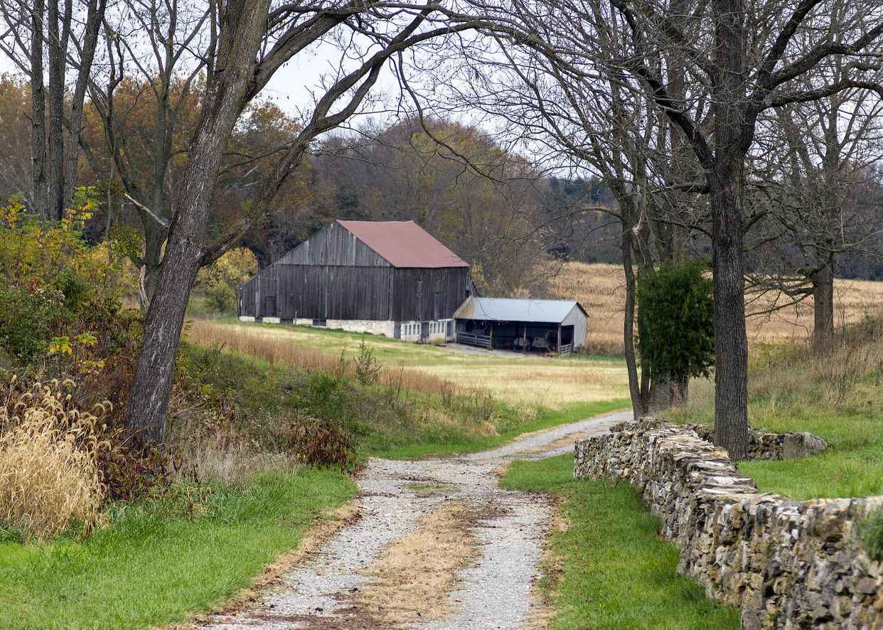 Roulette Farm 