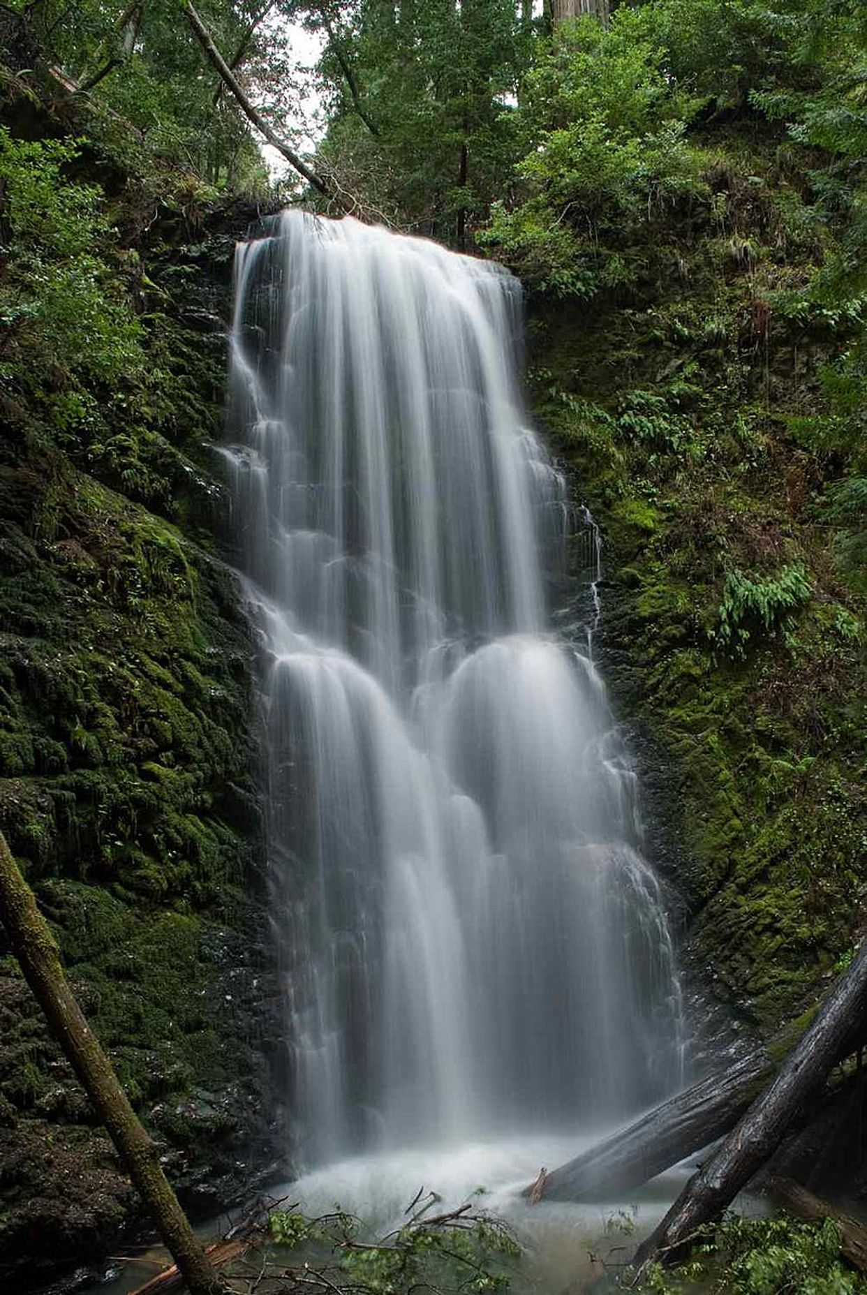 Berry Creek Falls