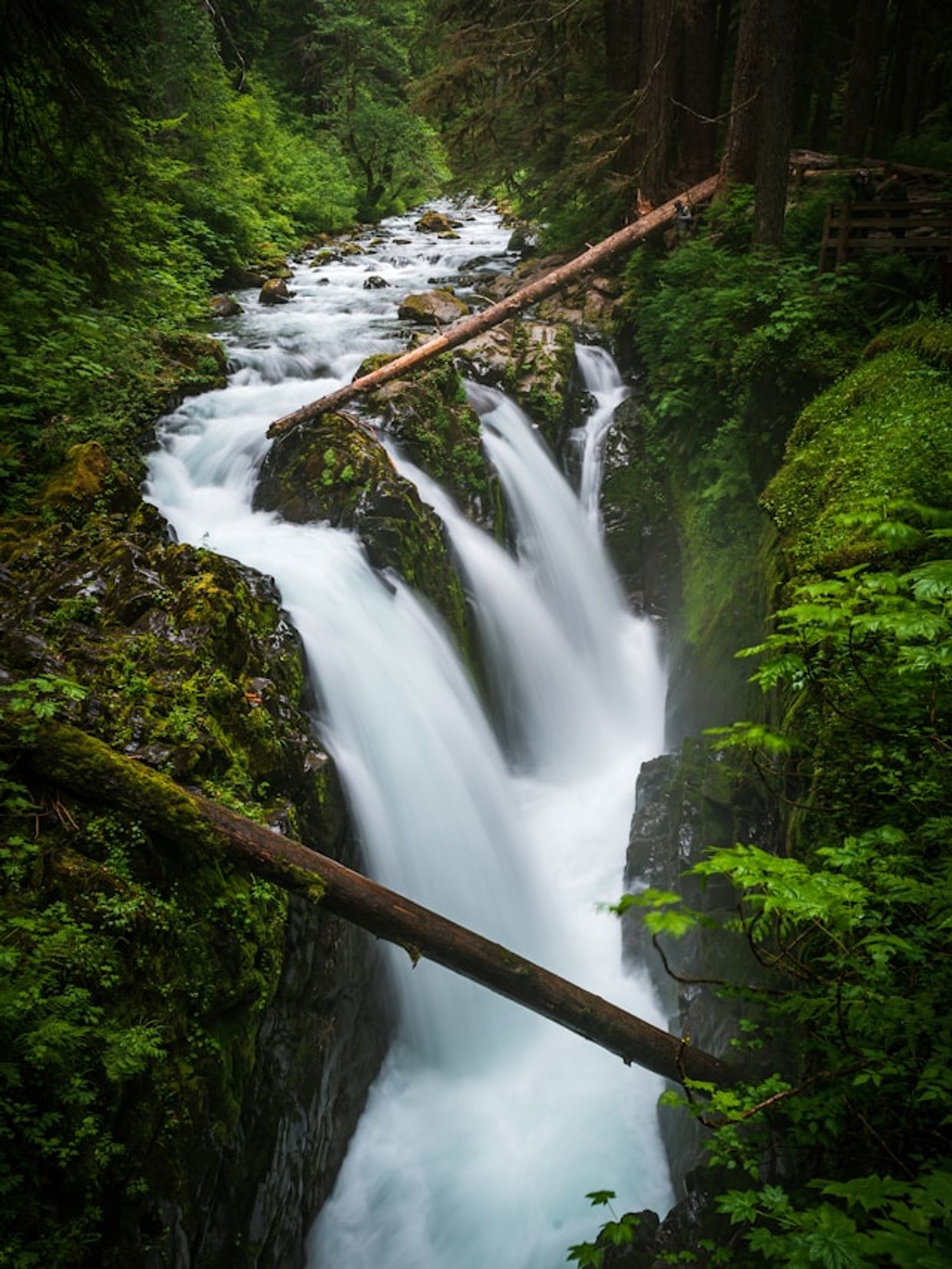 Sol Duc Falls