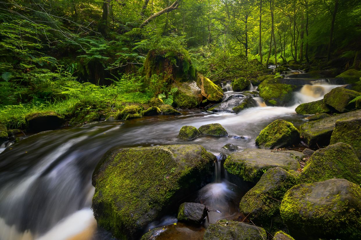 Wyming Brook