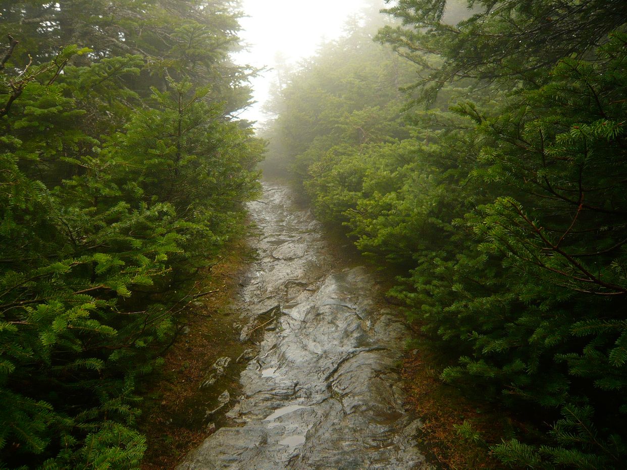 Long Trail 
