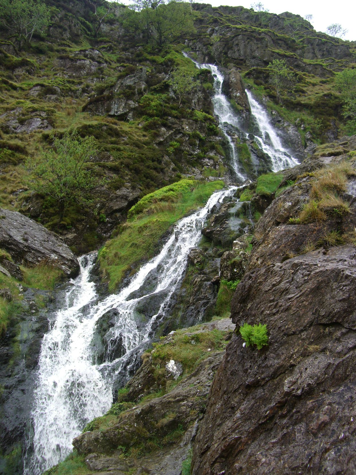 Moss Force Waterfall