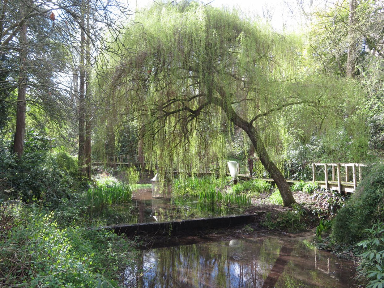 The Lyde Gardens