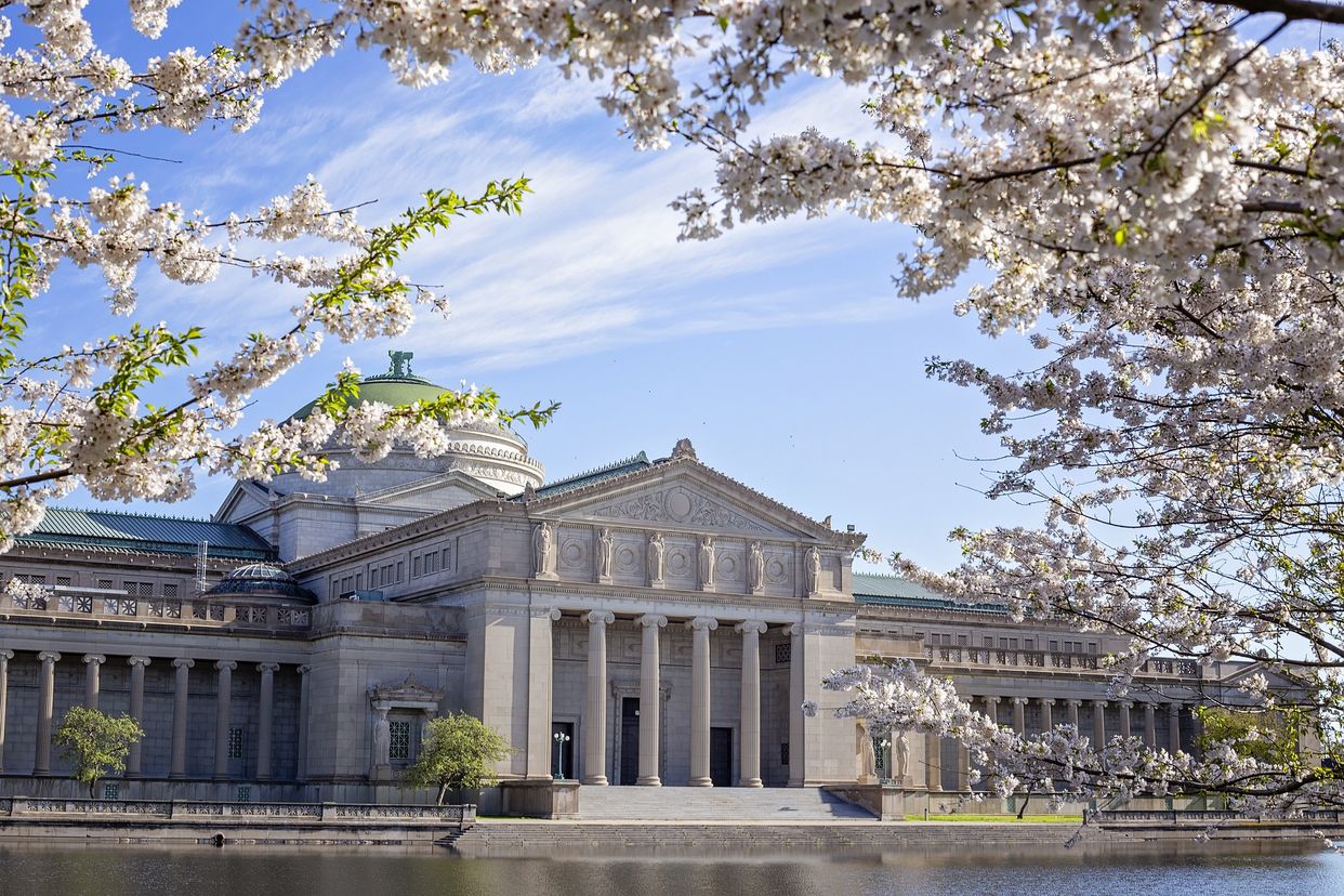 Museum of Science and Industry, Chicago