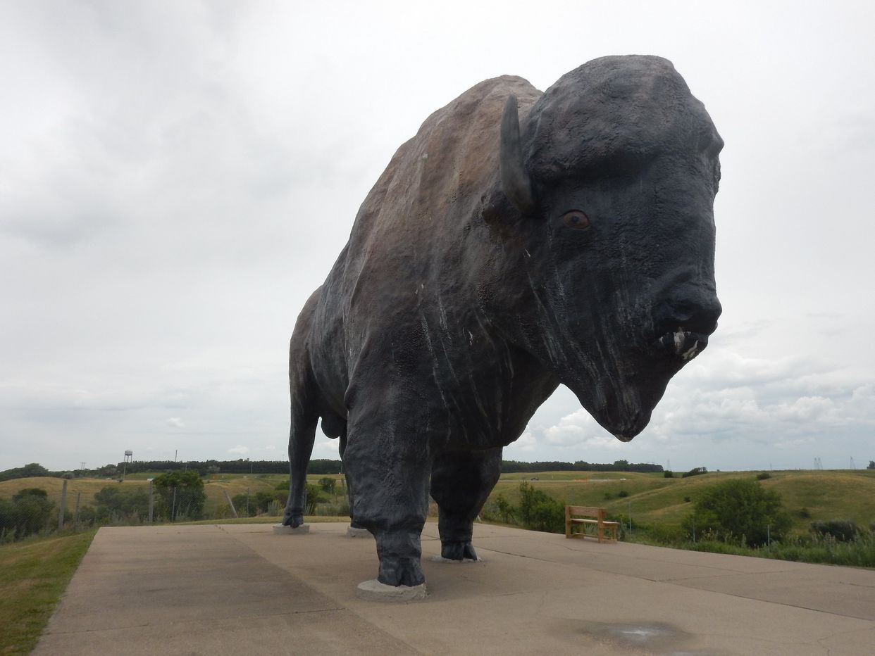 World's Largest Buffalo Statue