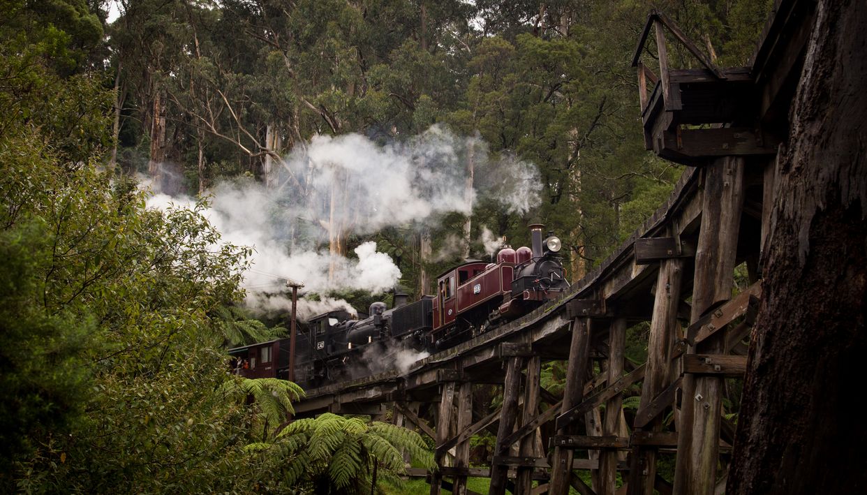Puffing Billy Railway Trestle Bridge