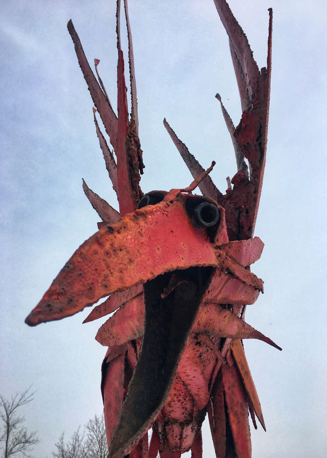 Crazy Bird Sculpture