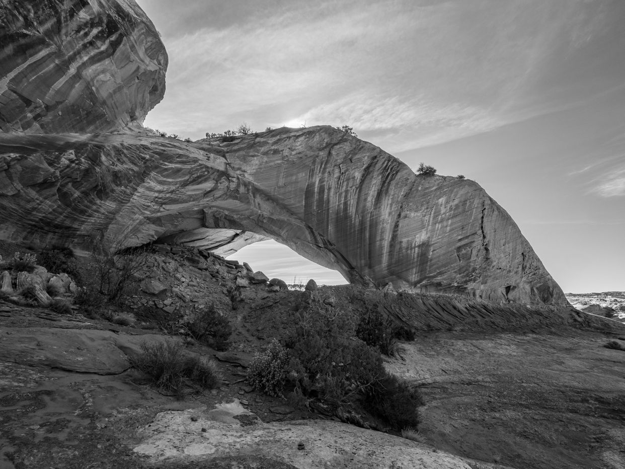Phipps Arch