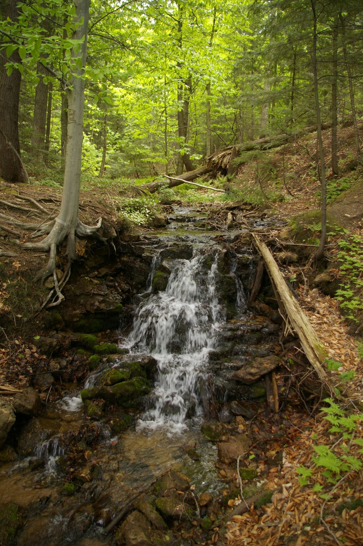 Alger Falls