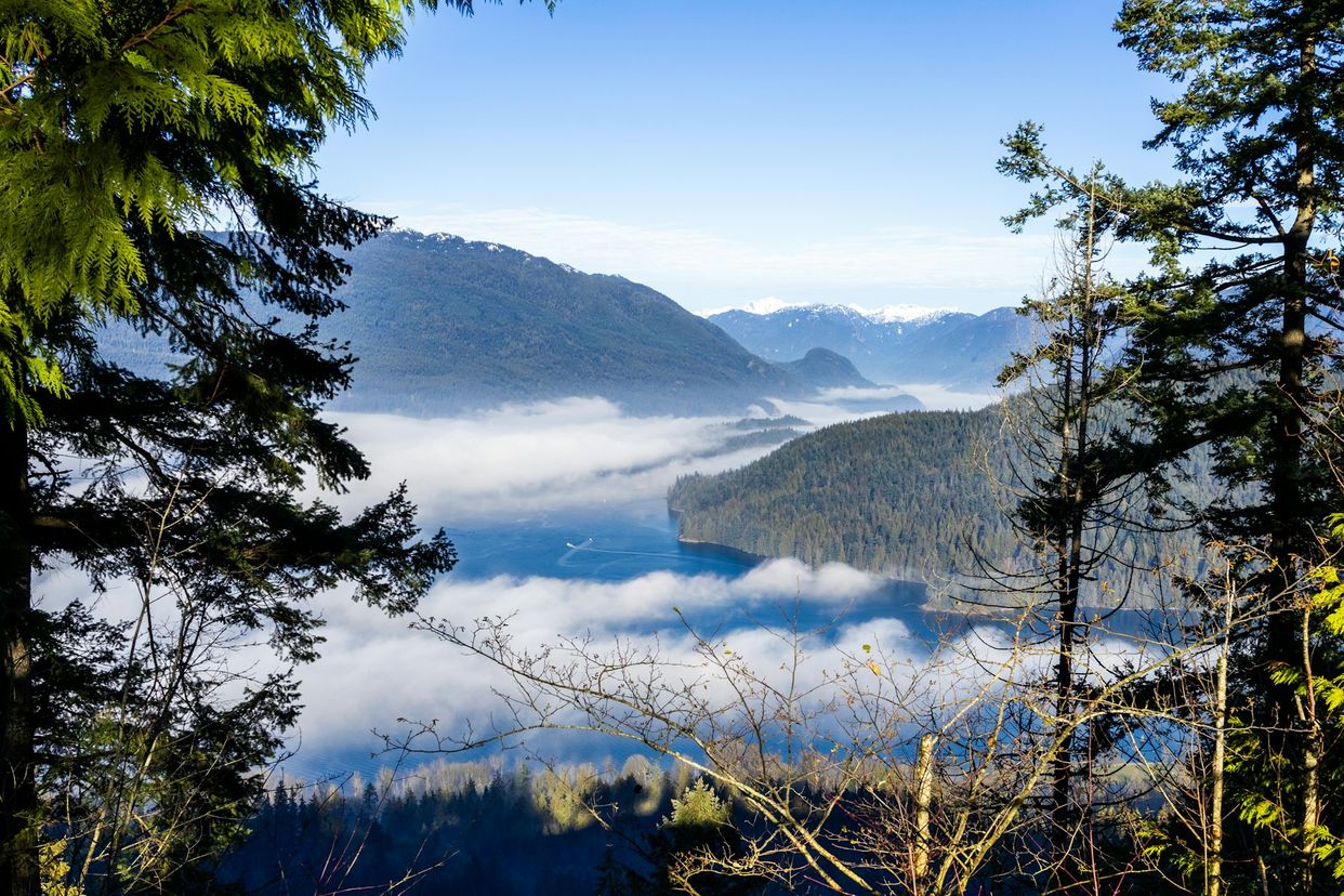 Burnaby Mountain