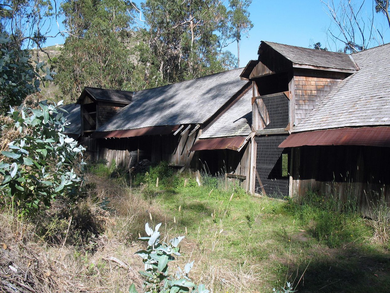 Robert Mills Dairy Barn