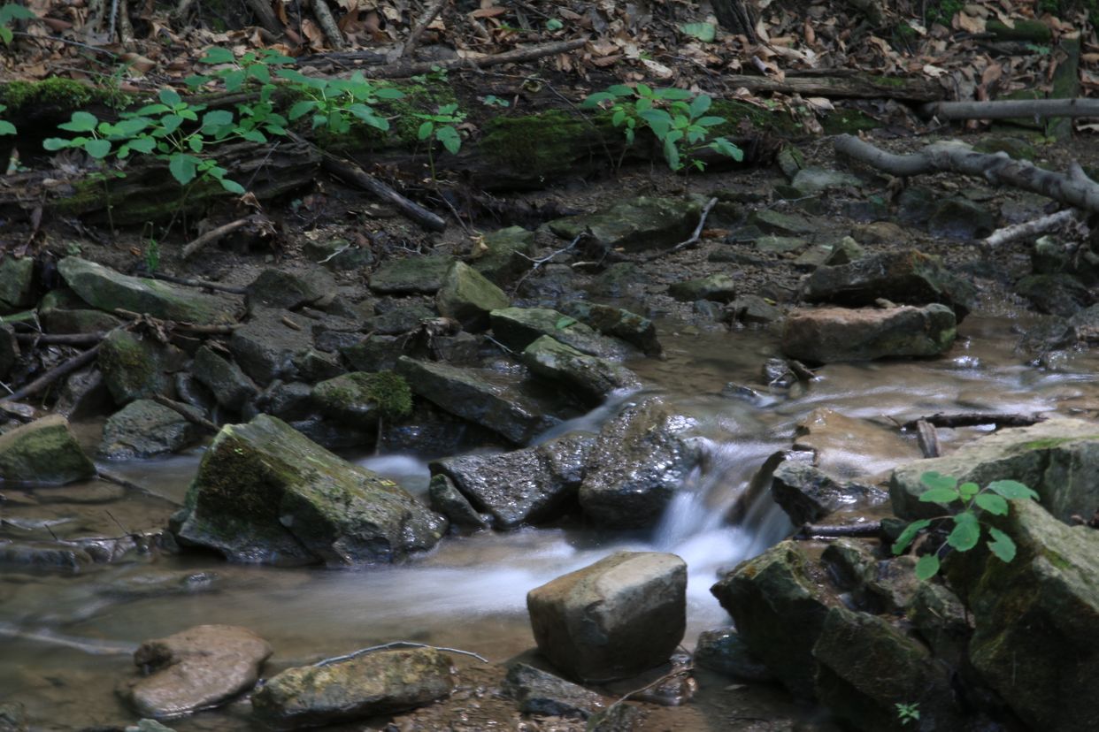 Dundas Valley Trail