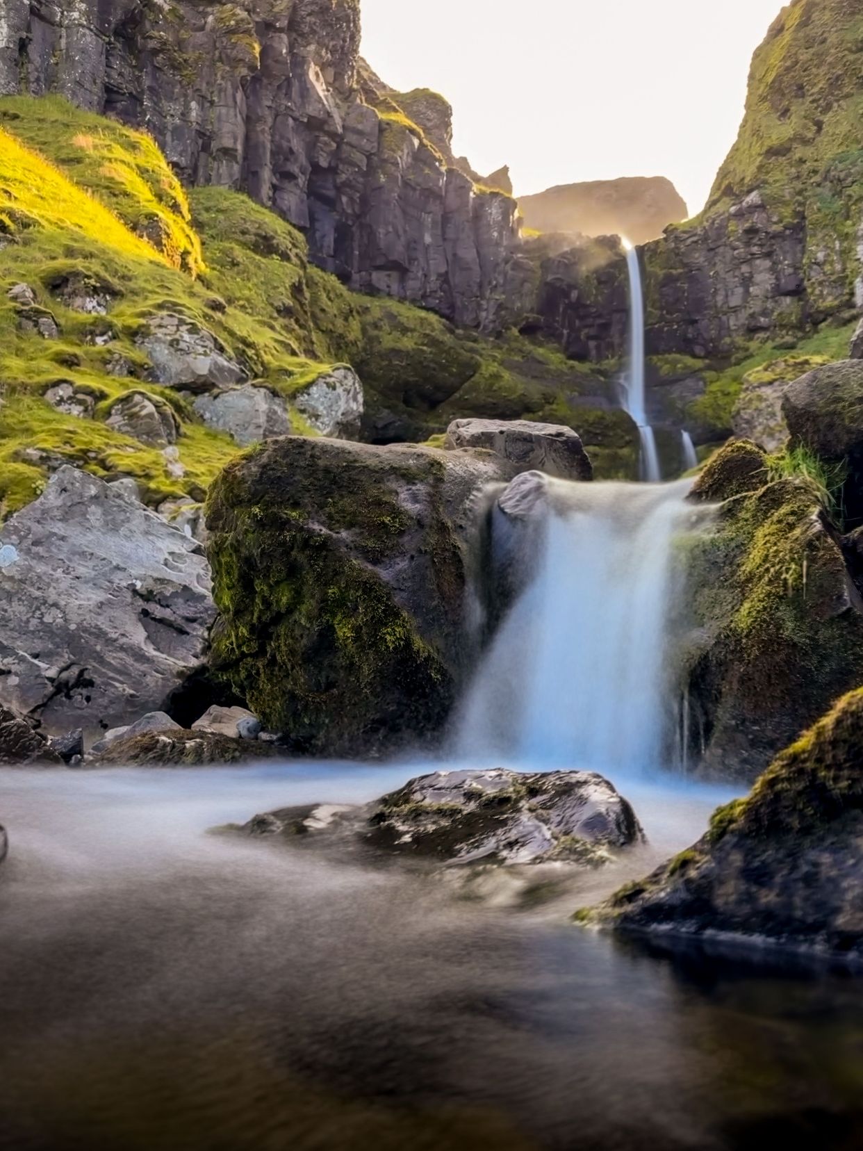 Bugsfoss