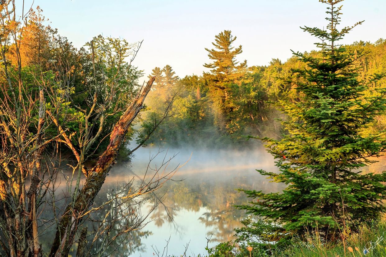 Panther Pond