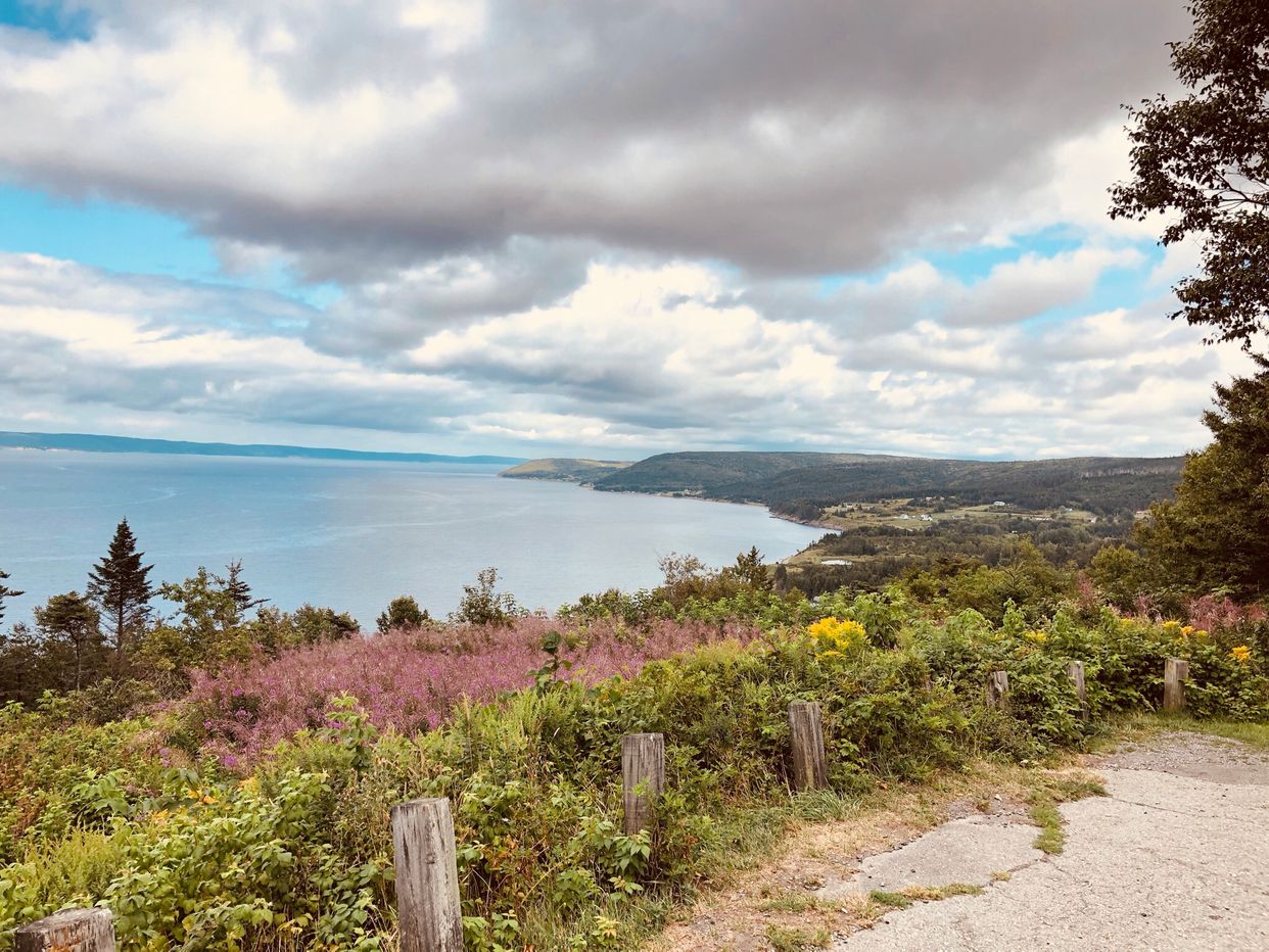 Irish Cove Lookout 
