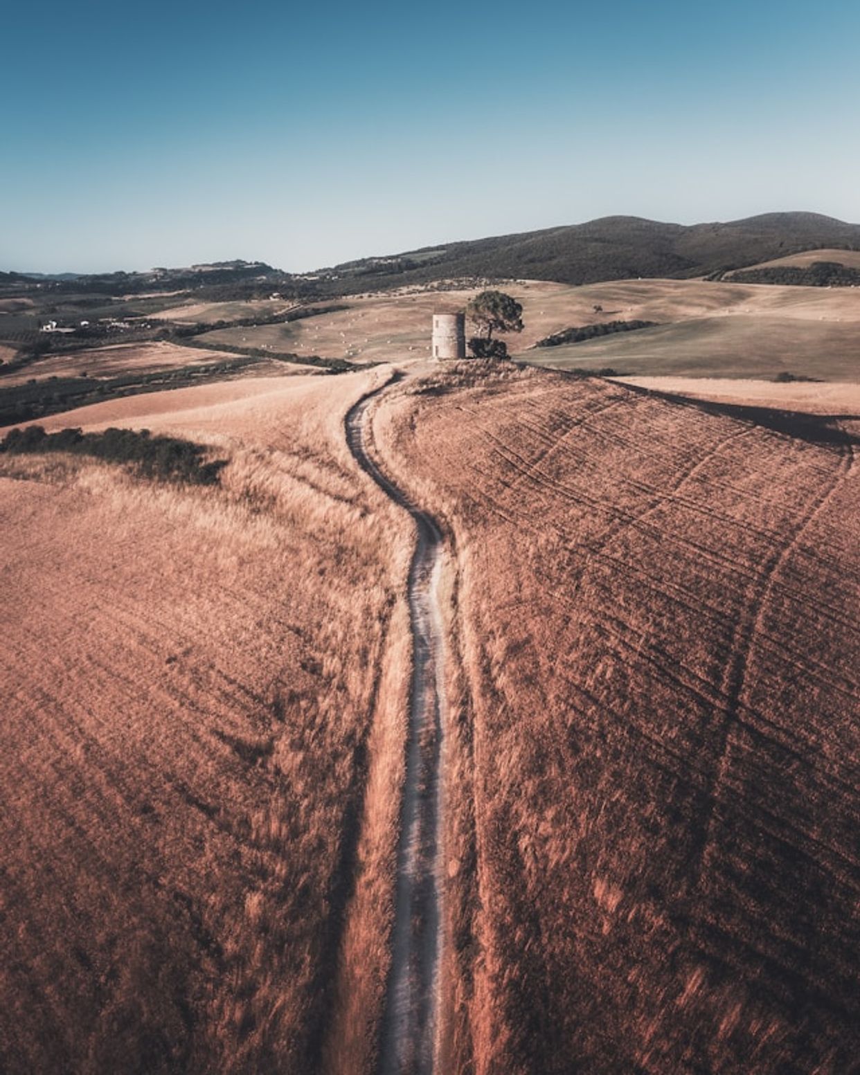 Vecchio Mulino di Bibbona