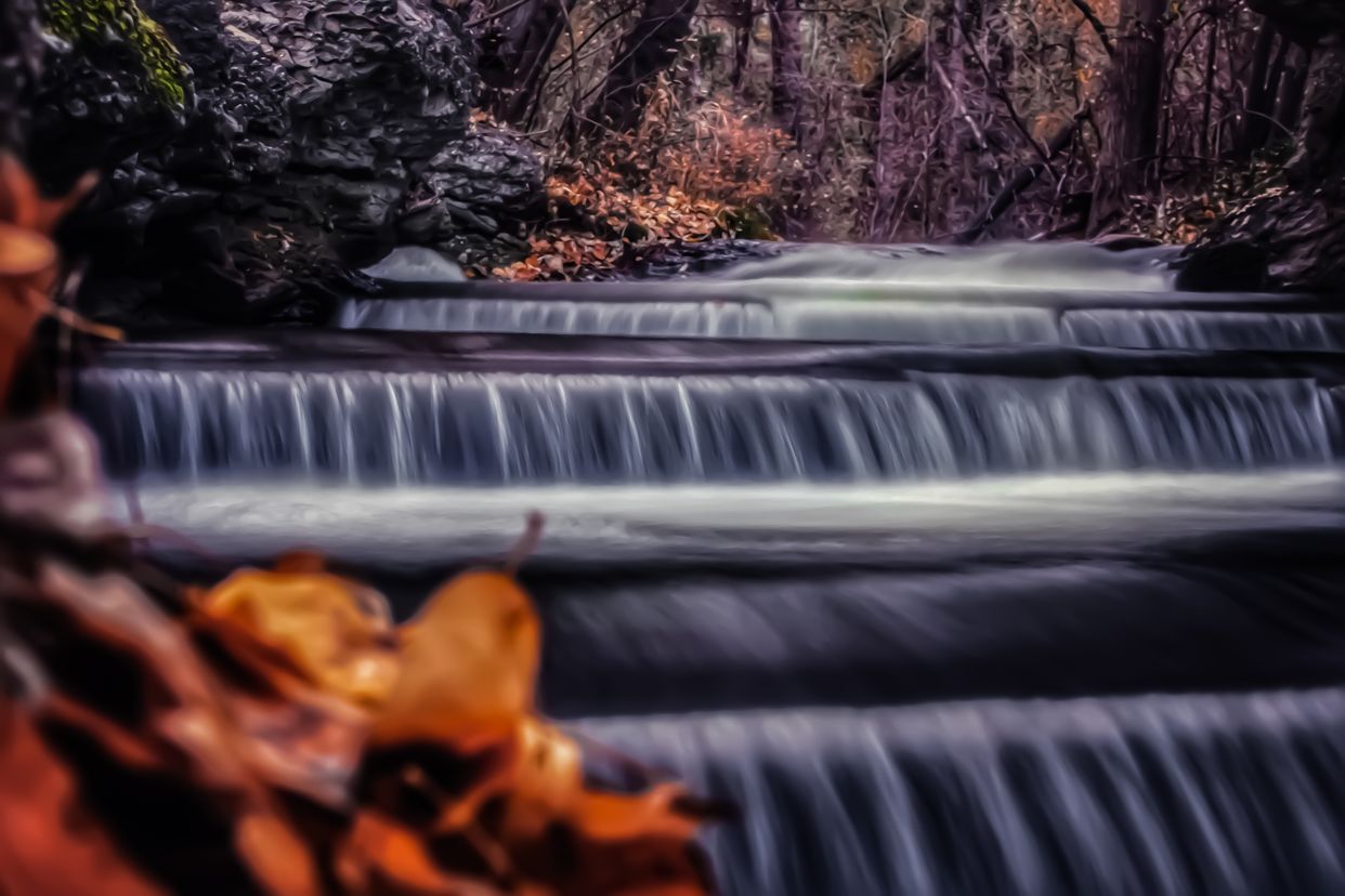 Photo by scott goldsworthy