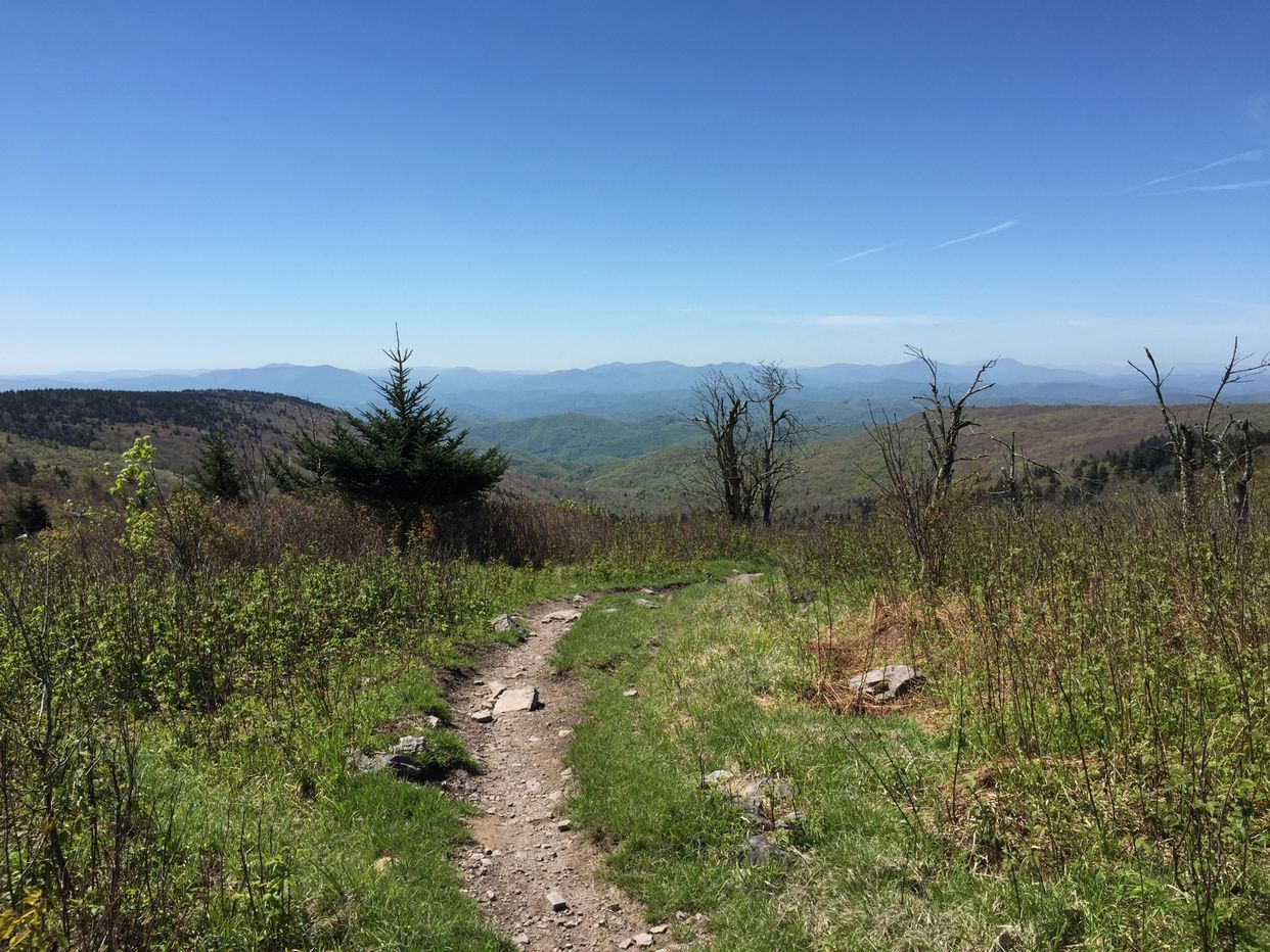 Mount Rogers Spur Trail 