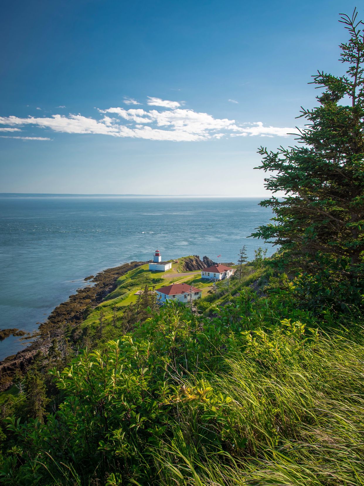 Cape D'Or View