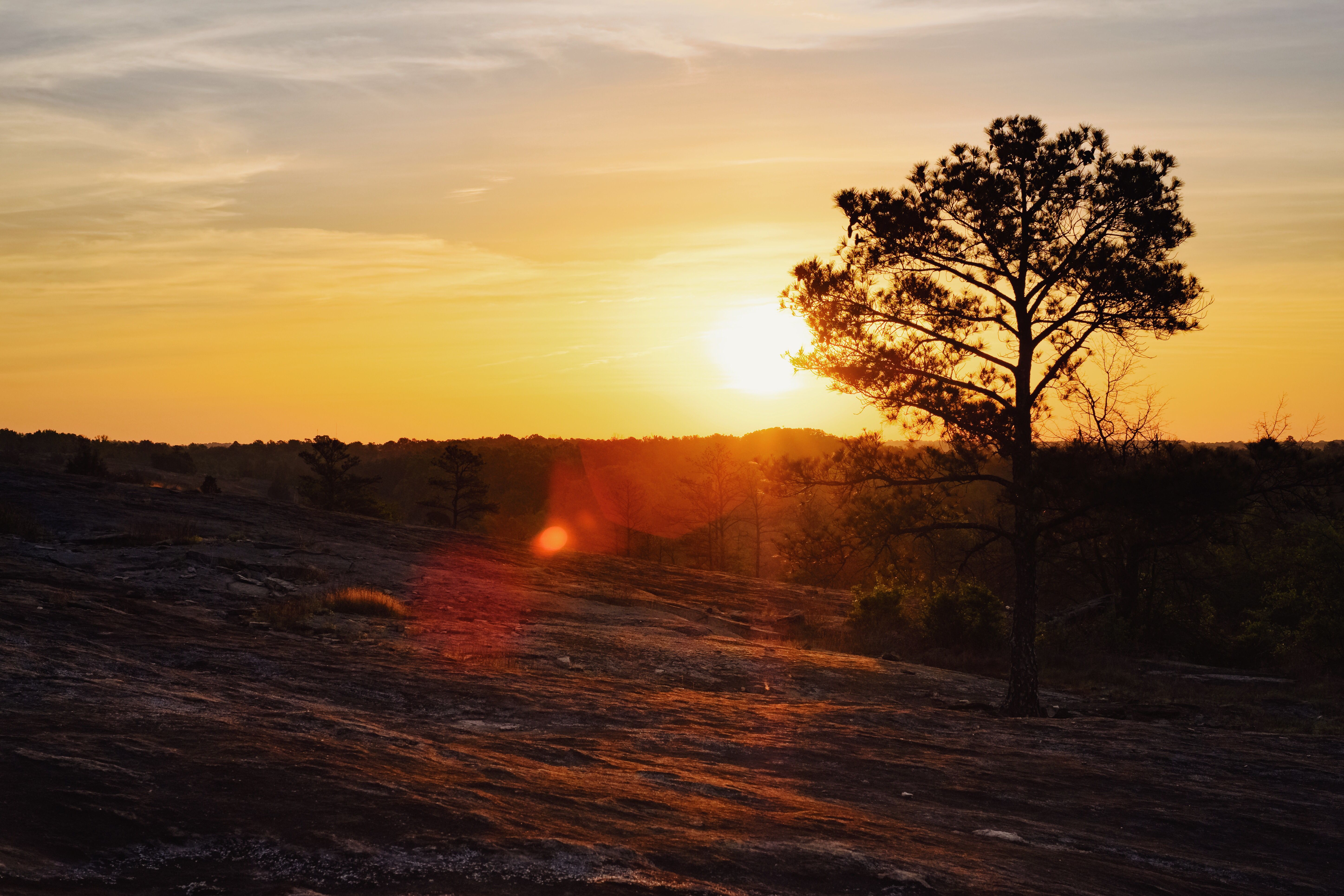 Arabia Mountain — Photo by insta @atl_assistant_camera