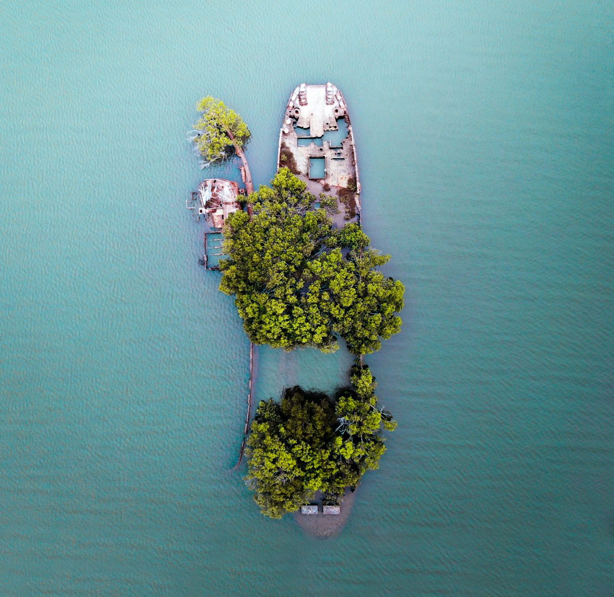 SS Ayrfield Shipwreck