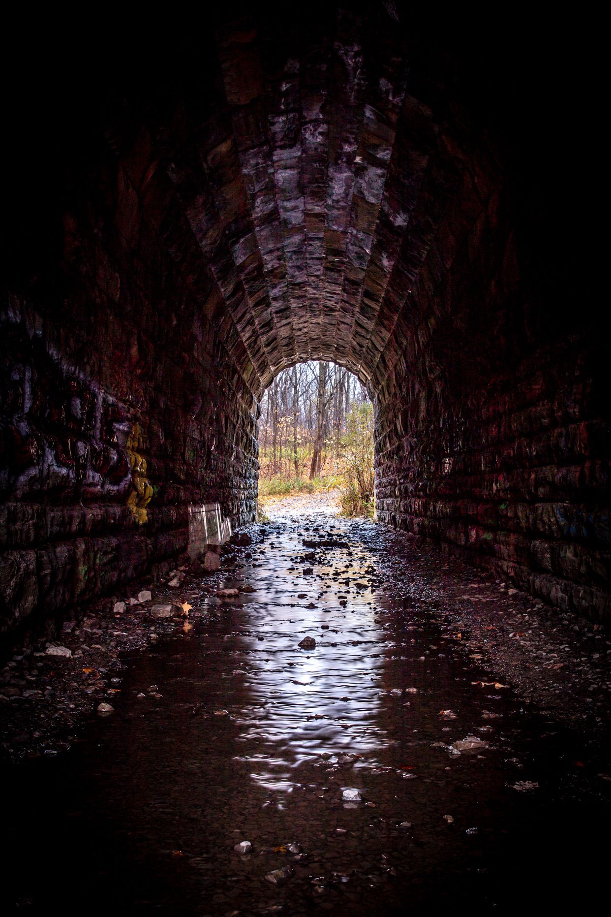 Screaming Tunnel
