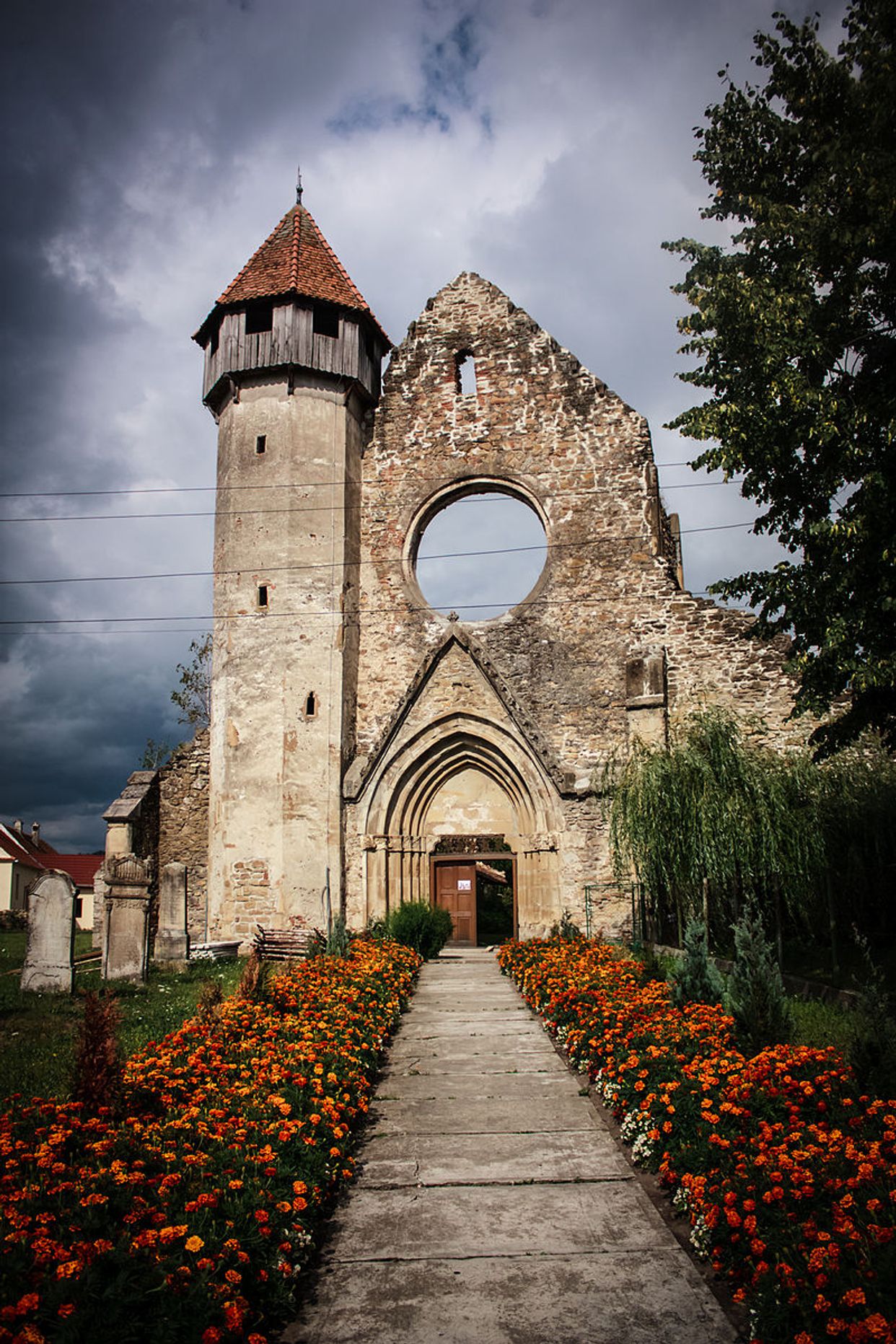 Cârța Monastery Ruins