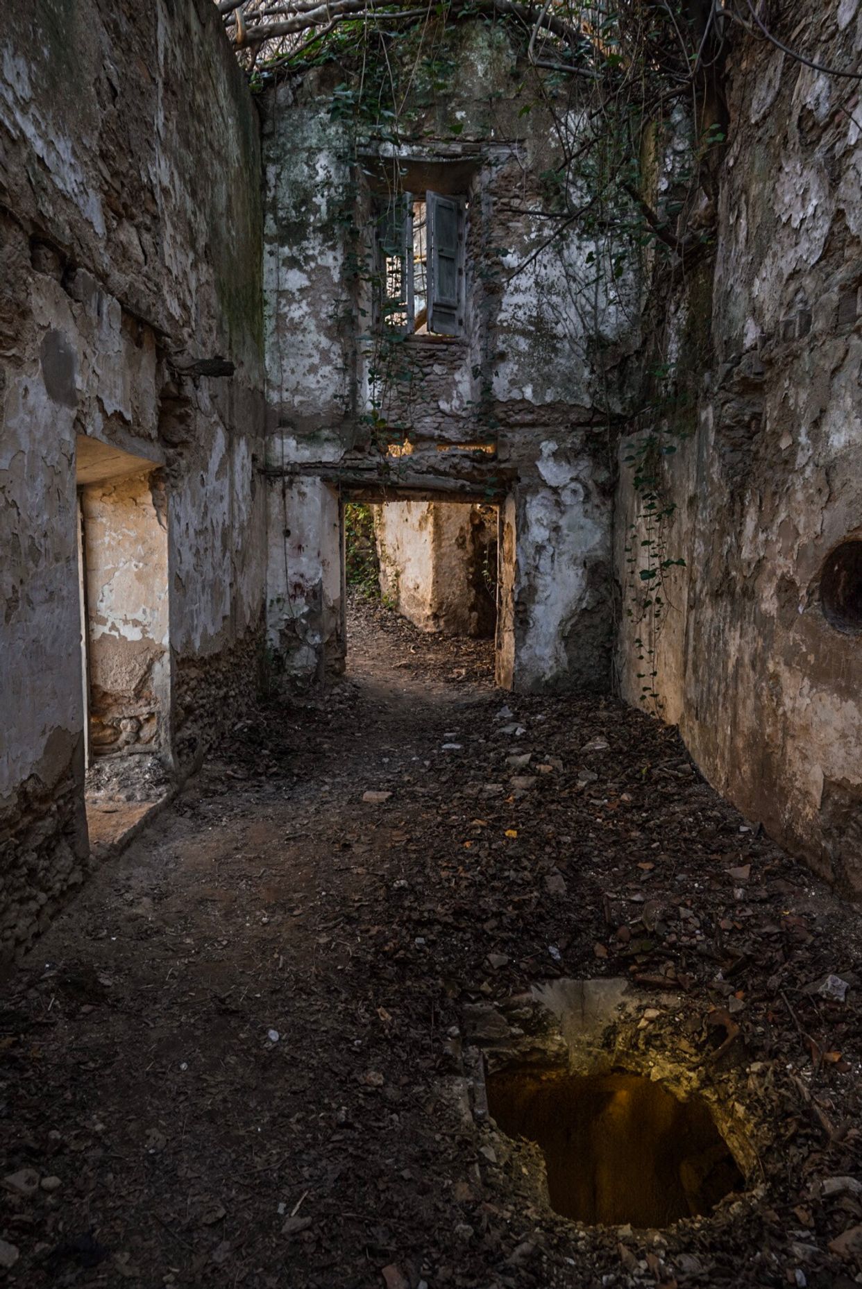 Abandoned House