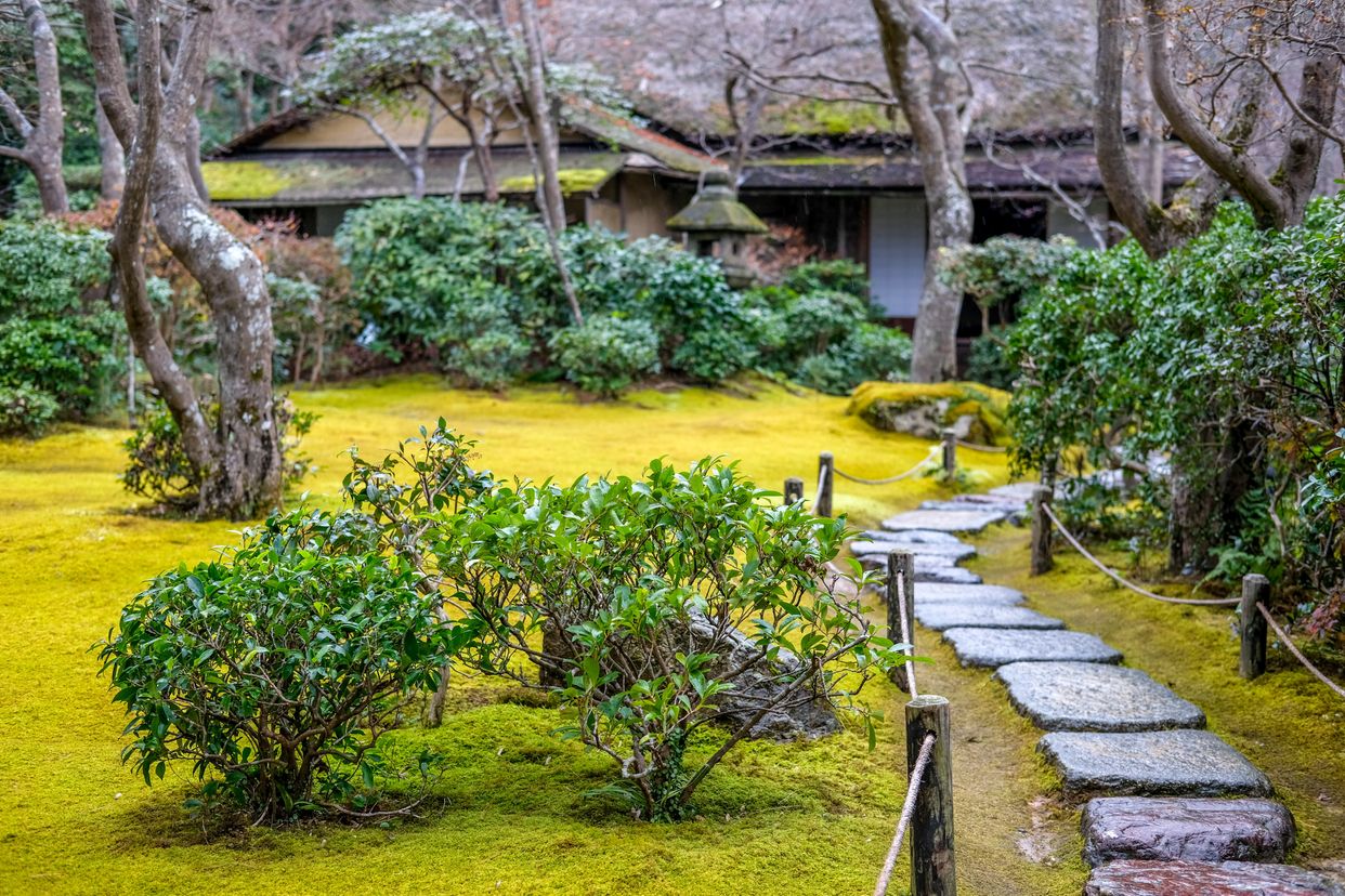 Okochi Sanso Moss Garden