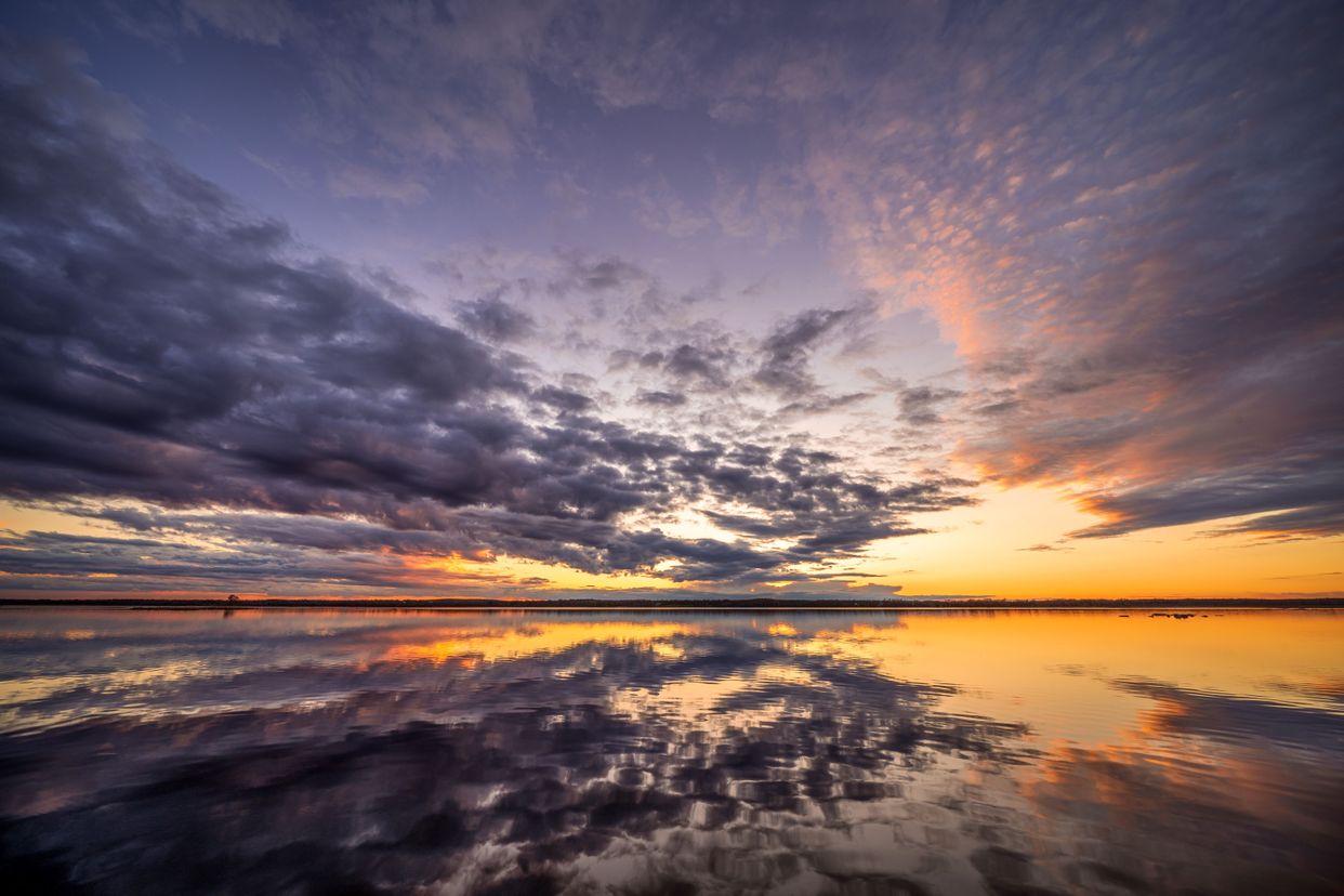Camden Lake Provincial Wildlife Area